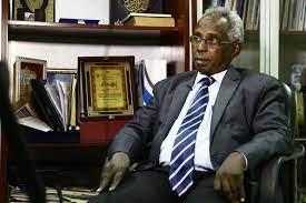 تفاقم الأزمة الإنسانية في السودان.. محلل سياسي يوضح