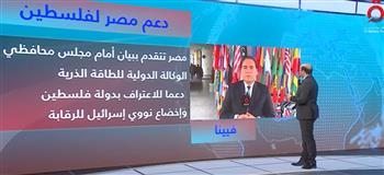   دعما لفلسطين.. بيان مصري أمام مجلس محافظي الوكالة الدولية للطاقة الذرية