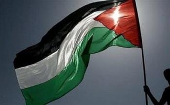   نشطاء فى كندا يزرعون أعلام فلسطين بنفس عدد شهداء قطاع غزة منذ 7 أكتوبر