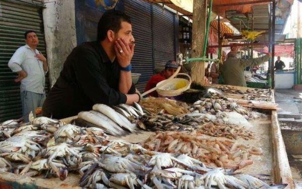كيلو السمك يبدأ من 75 جنيه والأرانب بـ120.. جولة داخل سوق السيدة زينب│ فيديو