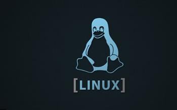   الكشف عن برمجية DinodasRAT لنظام Linux تستهدف المنظمات حول العالم