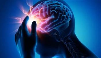   دراسة: الدماغ والأعصاب هما السبب الحقيقي وراء المعاناة من وهن العظام