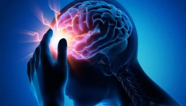 دراسة: الدماغ والأعصاب هما السبب الحقيقي وراء المعاناة من وهن العظام