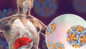   دراسة يابانية: علاج الخلايا المناعية يكافح الالتهاب الكبدي الوبائي "ب"