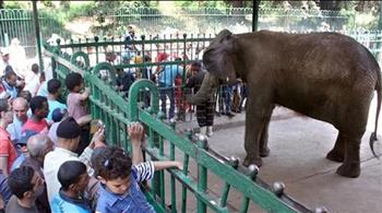   "الزراعة": 36 ألف زائر لـ حدائق الحيوان بالمحافظات خلال أول أيام عيد الفطر
