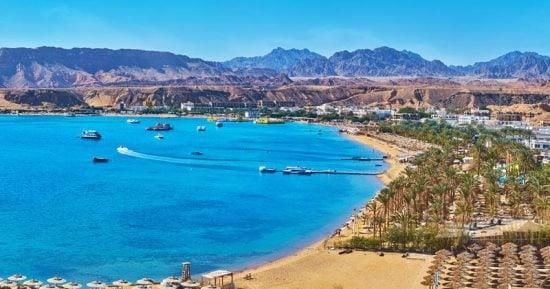 غرفة المنشآت الفندقية بـ البحر الأحمر : نسبة الإشغال تصل إلى 95 %