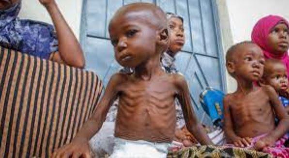 السودان .. سكان بعض مناطق جبال النوبة دفعهم الجوع لأكل أوراق الأشجار 