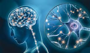   علماء يؤكدون دور نظامين رئيسيين بالدماغ في الإصابة بالذهان