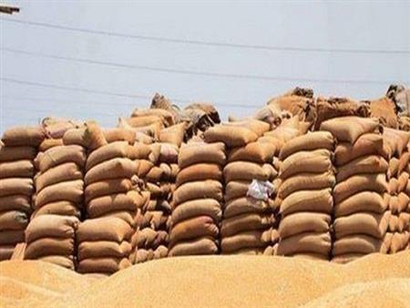 محافظ أسوان يوجه بتقديم التسهيلات لتوريد 175 ألف طن قمح