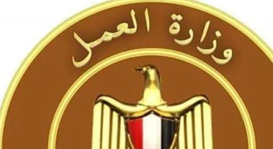 مديرية العمل بالقاهرة تنظم ندوة حول السلامة والصحة المهنية والمشكلة السكانية وآثارها