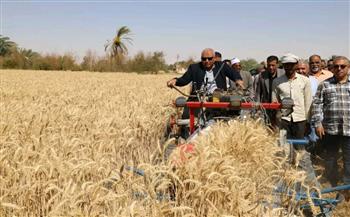   على مساحة 328 ألف فدان.. محافظ الوادي الجديد يفتتح موسم حصاد القمح 2024