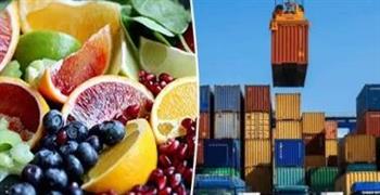   صادرات الصناعات الغذائية المصرية تتجاوز المليار دولار في شهرين 
