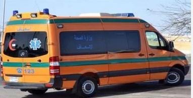 عربة كارو تنهى حياة "صبي" فى المنزلة بالدقهلية  