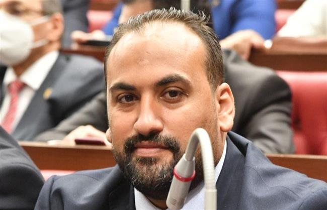 النائب الرشيدي: تصريحات السيسي  جاءت كاشفة لانتهاكات الاحتلال 