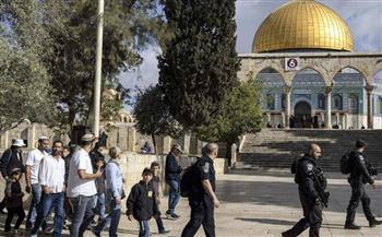   مستوطنون يقتحمون المسجد الأقصى بحماية شرطة الاحتلال