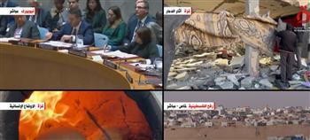 مندوب مالطا: نرفض أي هجوم إسرائيلي بري على رفح الفلسطينية
