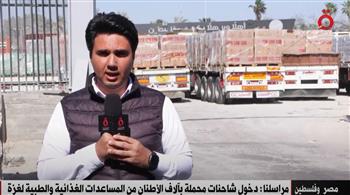   مراسل القاهرة الإخبارية: دخول شاحنات محملة بآلاف الأطنان من المساعدات الغذائية والطبية لغزة