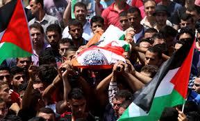 ارتفاع عدد شهداء قطاع غزة لـ 32916 فلسطينيا منذ 7 أكتوبر