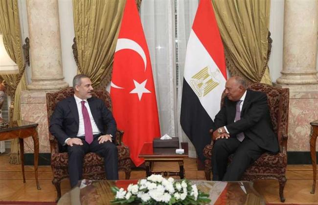 وزير الخارجية : نعمل مع الجانب التركي لتحقيق الأمن والاستقرار في المنطقة