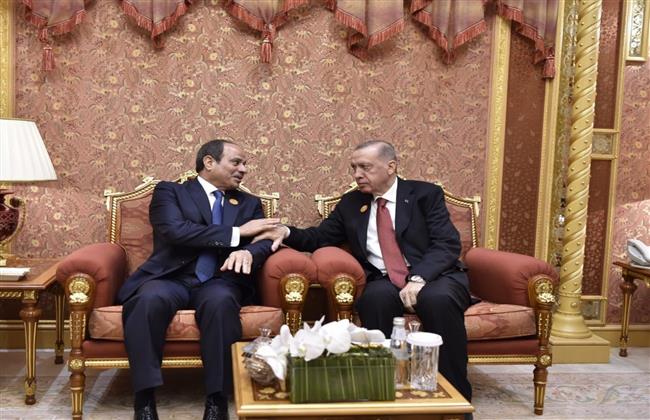 رسالة شفهية من الرئيس السيسي لنظيره التركي ينقلها وزير الخارجية