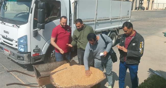 توريد 1701 طن قمح لشون و صوامع البحيرة حتى صباح اليوم