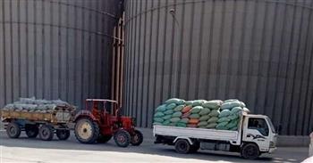   محافظ المنيا : توريد 2848 طناً من محصول القمح