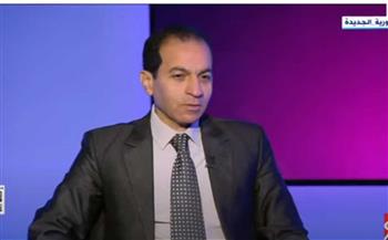   على خطى الإصلاح.. أستاذ التمويل يكشف عن خطط مصر لتعزيز الاستثمارات الأجنبية
