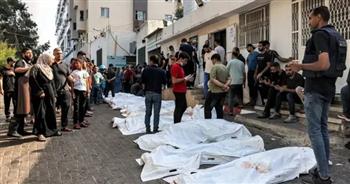   جراح مصري في غزة: عمليات بتر الأطراف رهيبة وتشوهات وفقدان الأعين