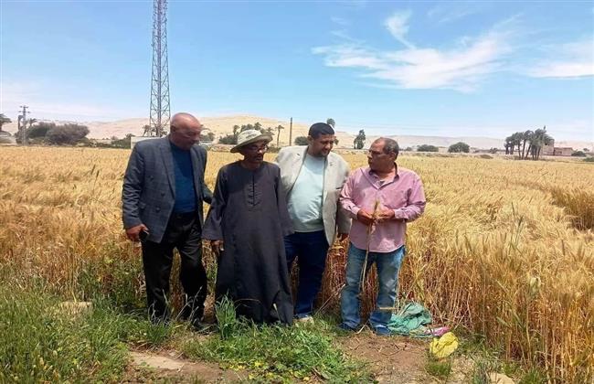موسم توريد القمح 2024.. سوهاج: 17 موقع تخزيني يستقبل موردين الأقماح بنطاق المحافظة