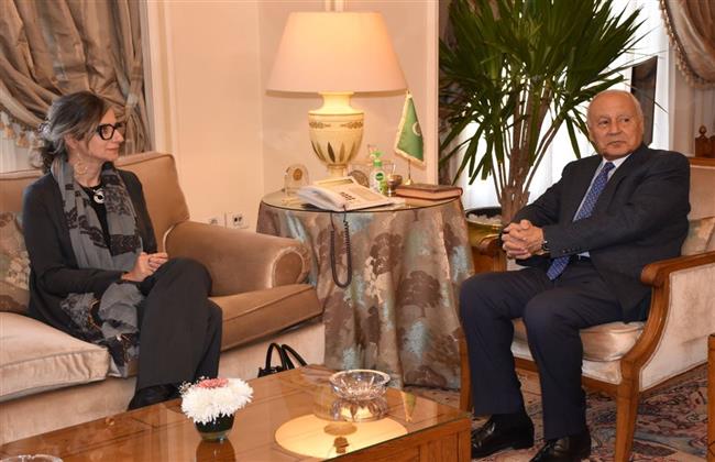 "أبو الغيط" يستقبل المقررة الخاصة لـ الأمم المتحدة لبحث حالة حقوق الإنسان في فلسطين