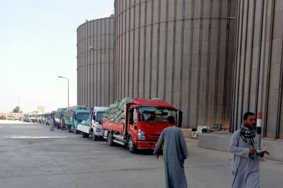 محافظ المنيا: توريد 5532 طنا من القمح للصوامع