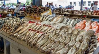   أسعار الأسماك اليوم بعد تراجع اللحوم بالمنافذ