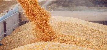   سفير مصر في موسكو يناقش مع "بوجدانوف" صادرات القمح لـ مصر
