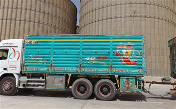   محافظ المنيا : توريد 8895 طناً من محصول القمح بالشون والصوامع