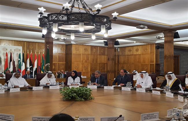 لجنة الميثاق العربي لحقوق الإنسان: إنجازات مصر  يشهد بها القاصي والداني