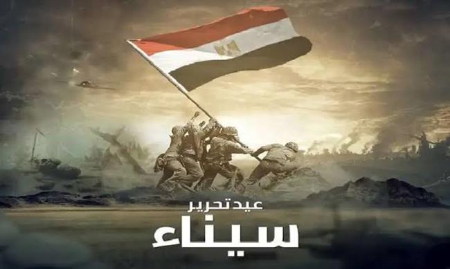 قاض مصري: المجلس الأعلى للقوات المسلحة أنقذ سيناء في يناير 2012