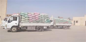   توريد 17 ألف طن من محصول القمح بالشون والصوامع الحكومية بمراكز المنيا