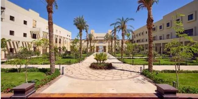 بالأرقام.. انجازات منظومة التعليم العالي في سيناء