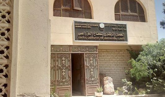 ورشة عمل للعاملين بالمركزي للمناخ الزراعي بالتعاون مع sail