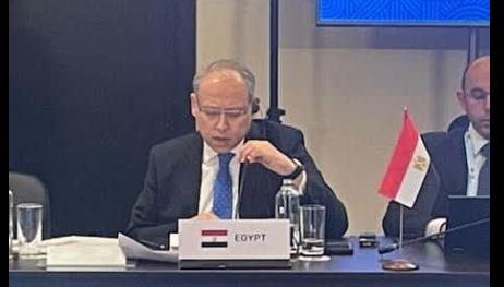 السفير المصري بموسكو يؤكد رفض مصر لتصفية القضية الفلسطينية