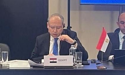سفير مصر في موسكو يشارك في اجتماع مبعوثي دول تجمع بريكس