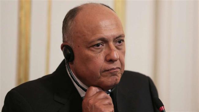 "شكري" يشارك في فعاليتين حول الأمن والنمو العالميين واضطرابات سلاسل الإمداد بالشرق الأوسط