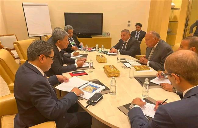 وزير الخارجية يلتقي نظيره الماليزي على هامش فعاليات المنتدى الاقتصادي العالمي