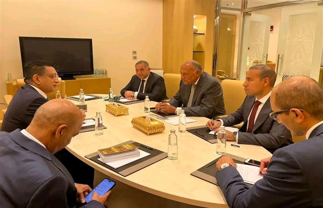 "شكري" يلتقي بوزير خارجية سريلانكا على هامش المنتدى الاقتصادي العالمي