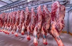   استقرار أسعار اللحوم اليوم