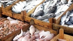 بعد حملة «خليها تعفن».. أسعار السمك اليوم 