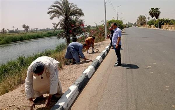 زراعة 100 شجرة على طريق مصر أسوان الزراعي بمركز ومدينة ديرمواس