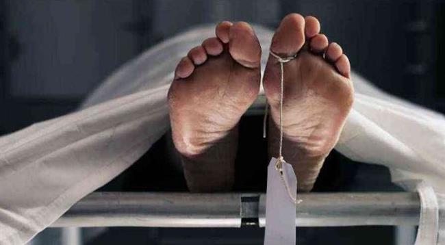 مصرع سائق في حادث تصادم سيارة نقل بأخرى أجرة في المنوفية