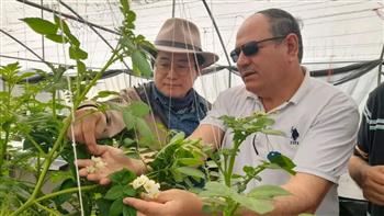   الزراعة تتابع برامج إنتاج تقاوى الخضر وتتعاون مع الجامعات والقطاع الخاص في كوريا الجنوبية 