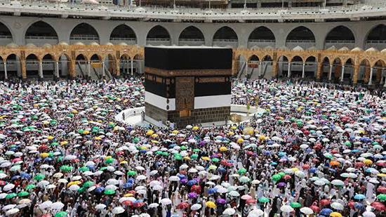 "السياحة والآثار" تواصل استعداداتها لموسم حج 1445 هــ